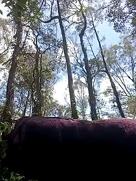 strollnrg069 online show from 12-05-24, 02:31