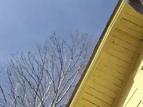 Snapshot of highstepper500 chatting on 12-26-24, 02:12 highstepper500 online show from 12-26-24, 02:12