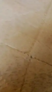 Snapshot of LULE37587001 chatting on 02-20-26, 06:26 LULE37587001 online show from 02-20-26, 06:26