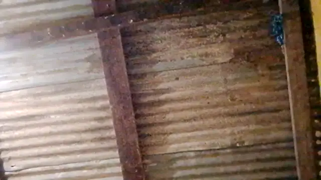 Snapshot of LULE37587001 chatting on 02-20-26, 11:05 LULE37587001 online show from 02-20-26, 11:05