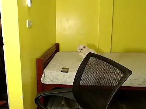 xx goddessofallgodess xx online show from 10-02-25, 02:51