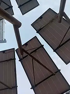 Snapshot of sagrado_1989 chatting on 01-17-26, 12:37 sagrado 1989 online show from 01-17-26, 12:37