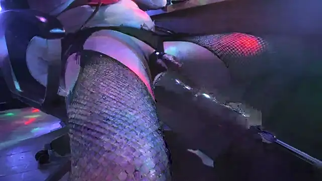 slankecrosdresser online show from 11-02-25, 12:57