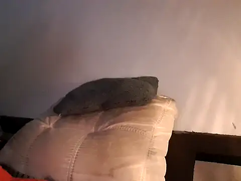 Snapshot of Lou666Cifer chatting on 02-17-26, 11:44 Lou666Cifer online show from 02-17-26, 11:44