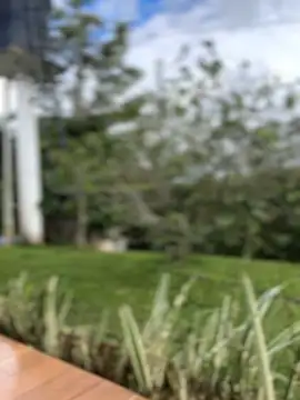 Snapshot of sahorix1 chatting on 02-16-26, 03:30 sahorix1 online show from 02-16-26, 03:30