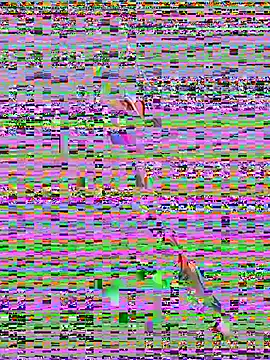 Snapshot of sahorix1 chatting on 02-20-26, 03:56 sahorix1 online show from 02-20-26, 03:56