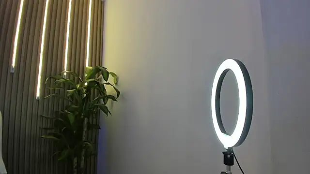 Snapshot of perla7777 chatting on 02-03-26, 01:59 perla7777 online show from 02-03-26, 01:59