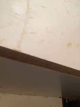 Snapshot of foxiks chatting on 04-09-26, 11:37 foxiks online show from 04-09-26, 11:37