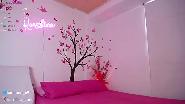 Karolina 1 online show from 01-27-25, 04:22