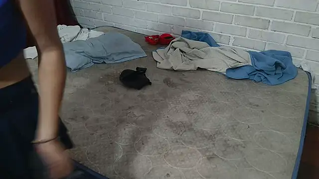 Snapshot of valeriaswang_Lucas chatting on 11-25-25, 04:18 valeriaswang Lucas online show from 11-25-25, 04:18