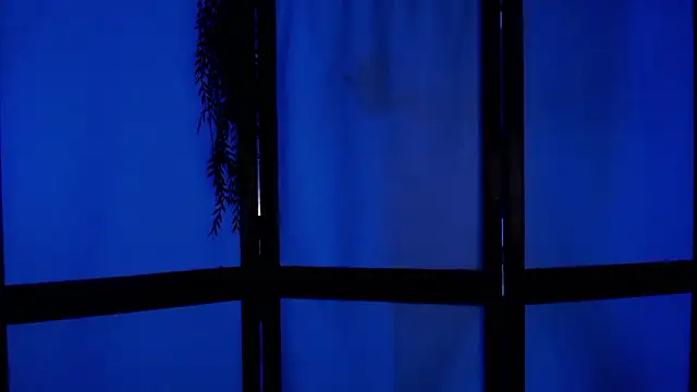 Wildorchid  online show from 12-02-24, 04:53