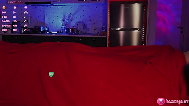 How2Meow online show from 02-06-26, 05:27