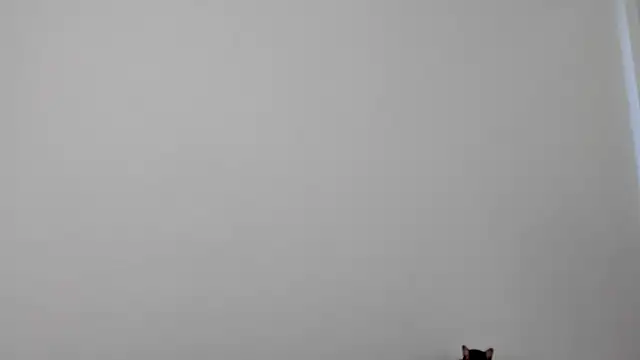 Snapshot of All_yours555 chatting on 10-17-25, 08:55 All yours555 online show from 10-17-25, 08:55