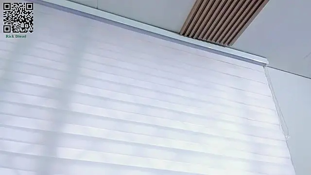 Rick Diesel  online show from 03-13-25, 11:41