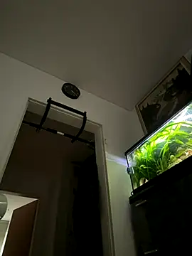 Toyjungee online show from 09-22-25, 06:59