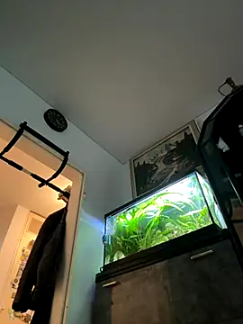 Toyjungee online show from 09-23-25, 03:37