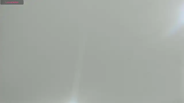 natasha logan  online show from 02-21-25, 04:07