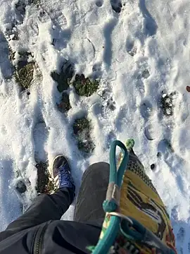 Snapshot of Mrbighardcock chatting on 01-14-26, 10:21 Mrbighardcock online show from 01-14-26, 10:21