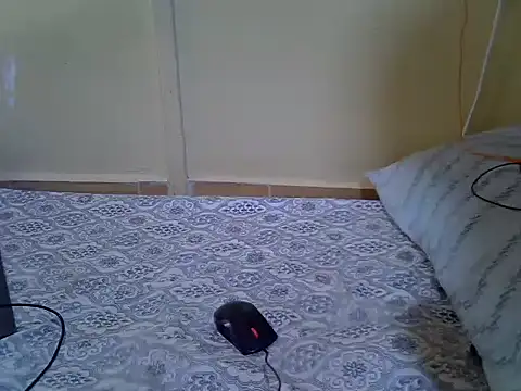 Melia0 online show from 02-11-26, 10:53