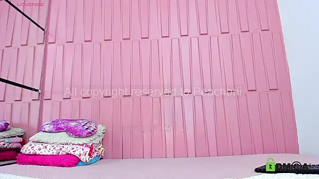 Briana Wells  online show from 09-11-25, 01:55