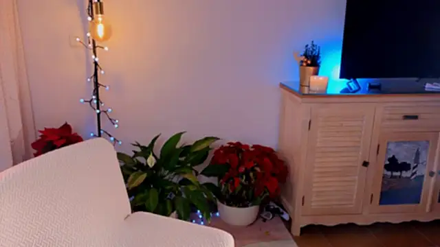 Snapshot of anabelcurvy chatting on 12-08-24, 04:07 anabelcurvy online show from 12-08-24, 04:07