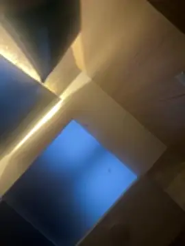 CeliWoods online show from 02-06-26, 11:13