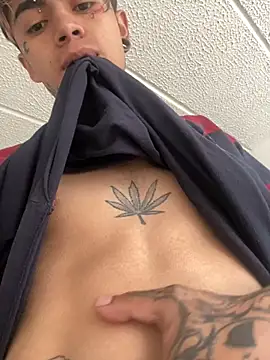 Snapshot of AcidMilo chatting on 02-22-25, 12:51 AcidMilo online show from 02-22-25, 12:51