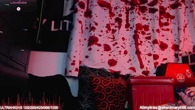 Silentmary online show from 11-19-25, 02:44