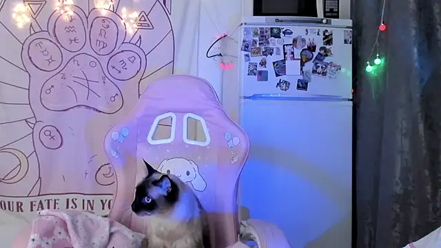 Snapshot of Holy420lolii chatting on 01-18-26, 06:23 Holy420lolii online show from 01-18-26, 06:23