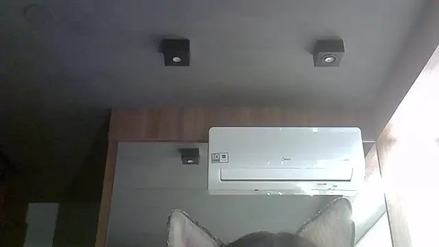 Skinny-Kitten online show from 10-04-25, 12:30