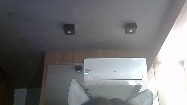 Skinny-Kitten online show from 01-05-26, 10:13