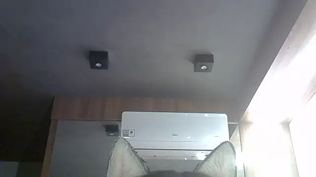 Skinny-Kitten online show from 01-08-26, 05:43