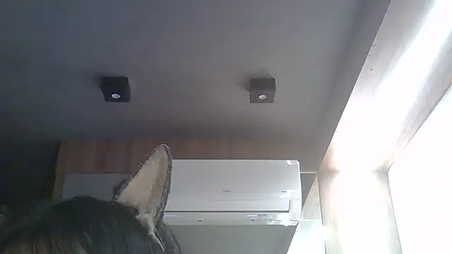 Skinny-Kitten online show from 02-17-26, 01:40