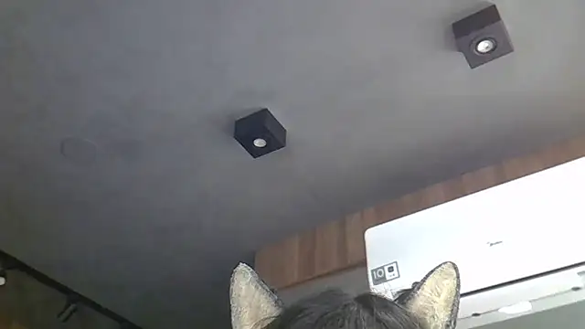 Skinny-Kitten online show from 03-04-26, 05:24