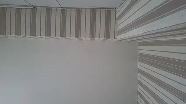 lily  foster online show from 09-22-25, 05:42