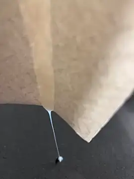 Snapshot of alieno27 chatting on 12-28-24, 10:02 alieno27 online show from 12-28-24, 10:02