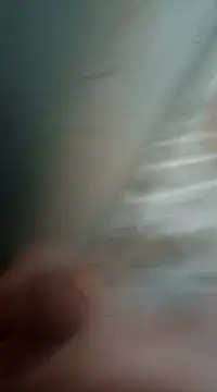 Sexis26 online show from 03-15-25, 08:43