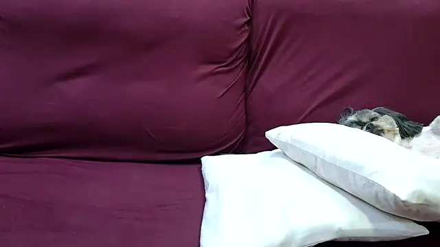 Snapshot of Kellynha_Sweet chatting on 12-18-25, 02:06 Kellynha Sweet online show from 12-18-25, 02:06