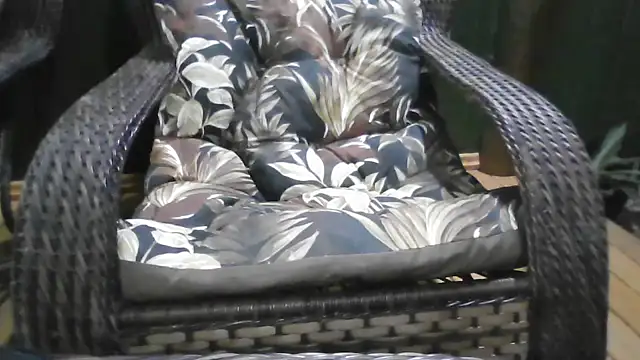 Snapshot of Kellynha_Sweet chatting on 12-21-25, 01:13 Kellynha Sweet online show from 12-21-25, 01:13