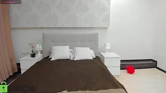 Snapshot of Donna_Evans chatting on 02-17-26, 11:55 Donna Evans online show from 02-17-26, 11:55