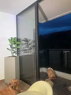 Snapshot of Helenbronwx chatting on 12-22-24, 11:09 Helenbronwx online show from 12-22-24, 11:09