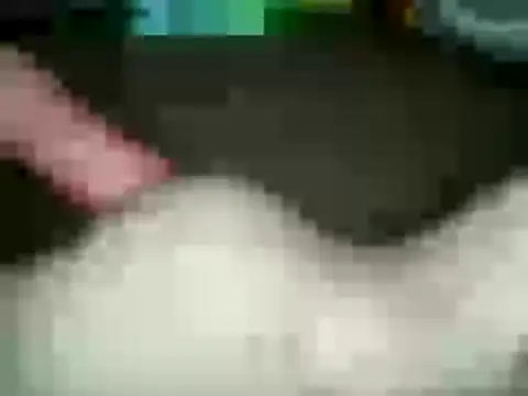 Snapshot of xxxlecram chatting on 01-15-25, 11:53 xxxlecram online show from 01-15-25, 11:53