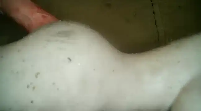 Snapshot of xxxlecram chatting on 03-05-25, 09:48 xxxlecram online show from 03-05-25, 09:48