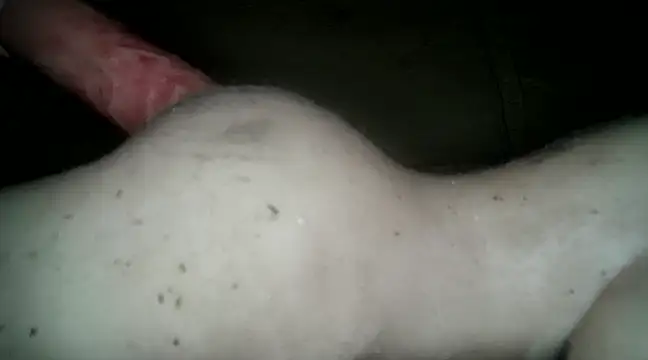 Snapshot of xxxlecram chatting on 03-14-25, 06:07 xxxlecram online show from 03-14-25, 06:07