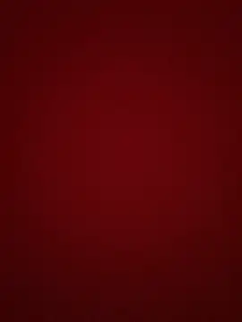 pamela anderson  online show from 12-18-24, 10:40