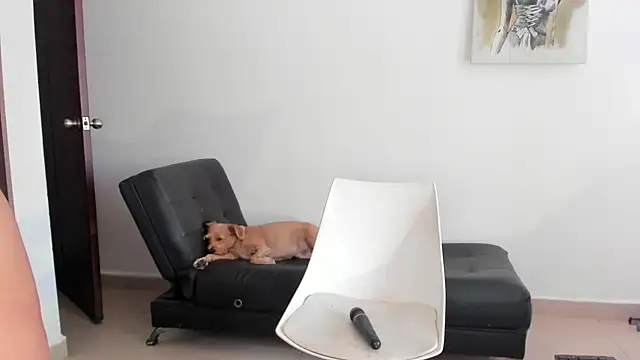 Snapshot of selene_king2 chatting on 12-10-24, 06:17 selene king2 online show from 12-10-24, 06:17