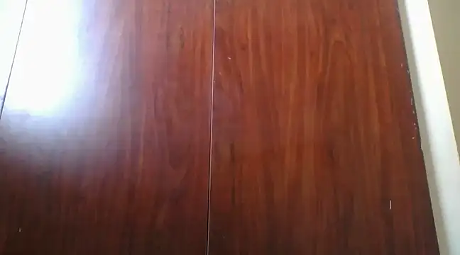 Snapshot of prettychic5 chatting on 12-12-24, 12:33 prettychic5 online show from 12-12-24, 12:33