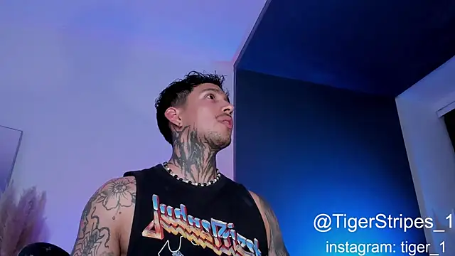 Snapshot of TigerStripes1_ chatting on 02-01-25, 02:37 TigerStripes1 online show from 02-01-25, 02:37