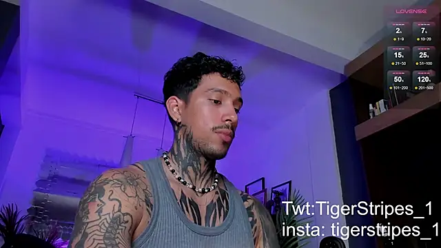 Snapshot of TigerStripes1_ chatting on 03-02-25, 01:47 TigerStripes1 online show from 03-02-25, 01:47