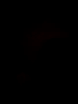 Bella-Tight online show from 10-30-25, 10:43